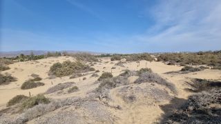 2023-GC--Mapalomas dunas-S123-191.jpg